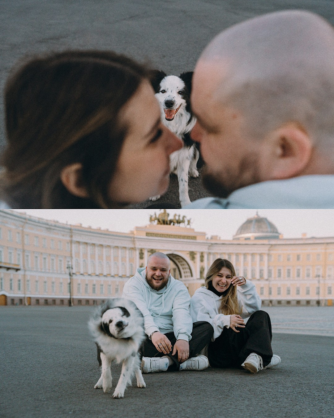 Таня, Дима и Чейси. Фотограф анималист в Москве и Санкт-Петербурге Свиридова Анна