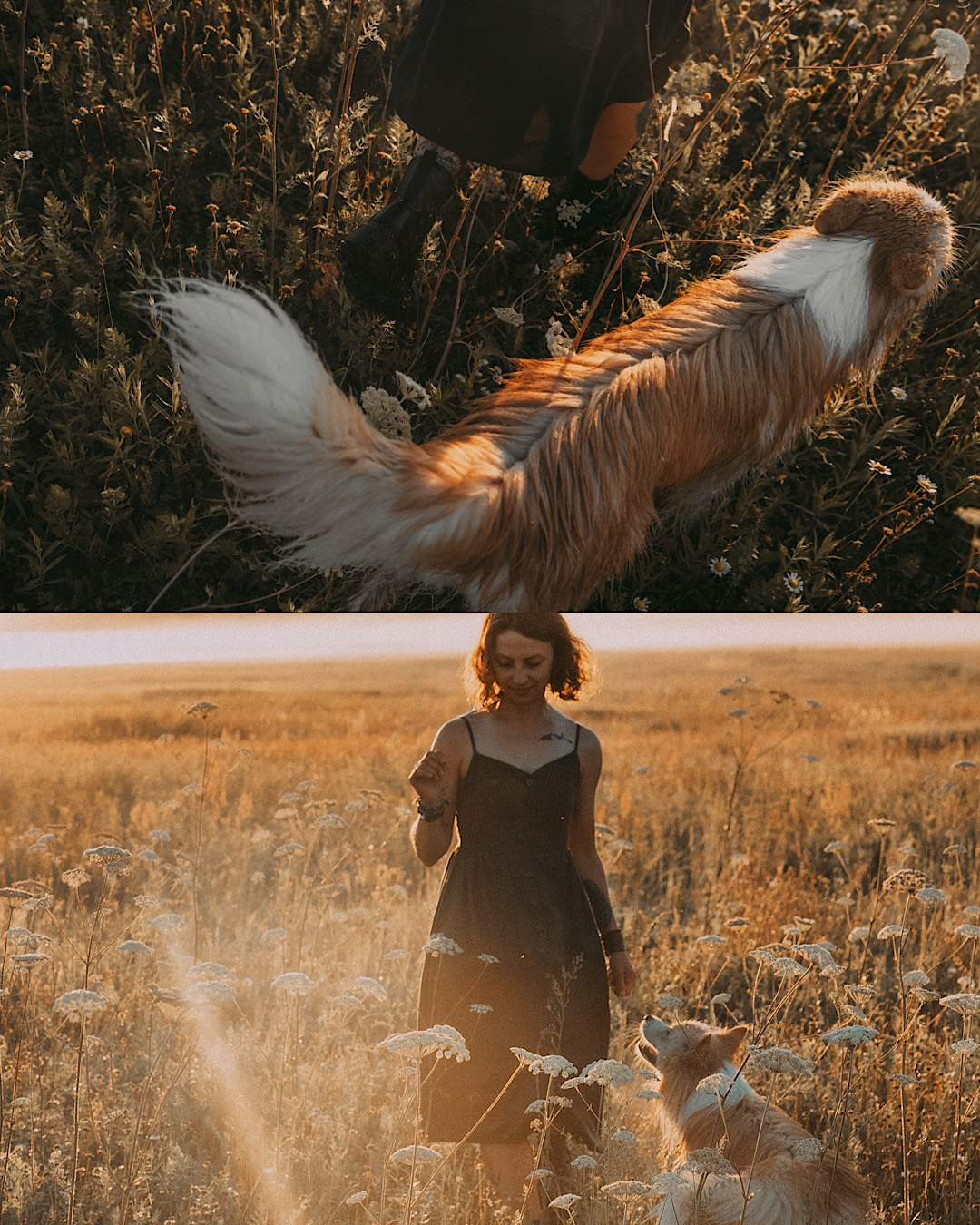 Рина и Марси. Фотограф анималист в Москве и Санкт-Петербурге Свиридова Анна