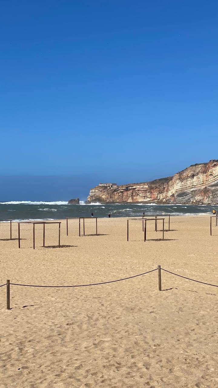 Распродажа курса: «Мобильная фотография». Алла Шевченко — продюсер — наставник