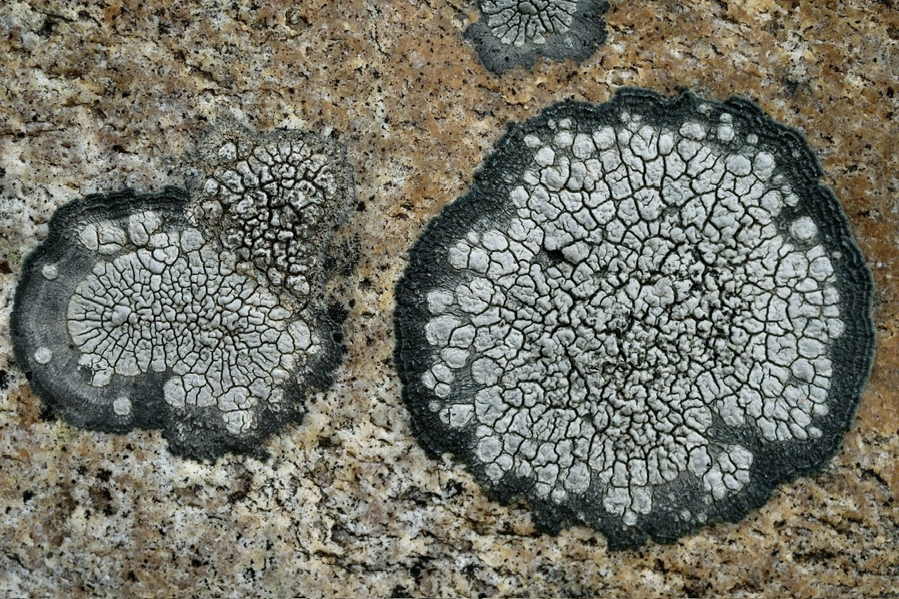 Алтай. Фотограф Евгений Андреев