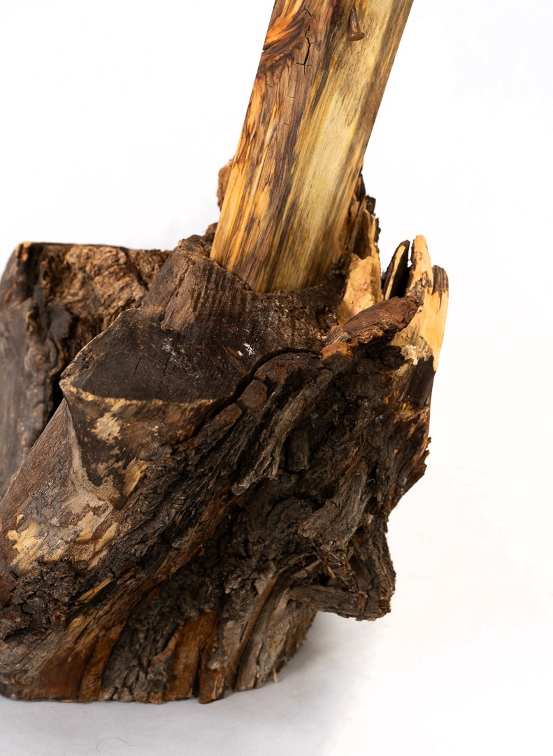 Wisdom table. Whoii art