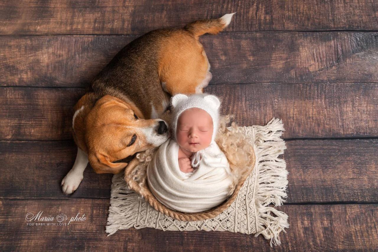 NEWBORN Мальчики. Фотограф новорожденных в Москве и области Мария Самсон