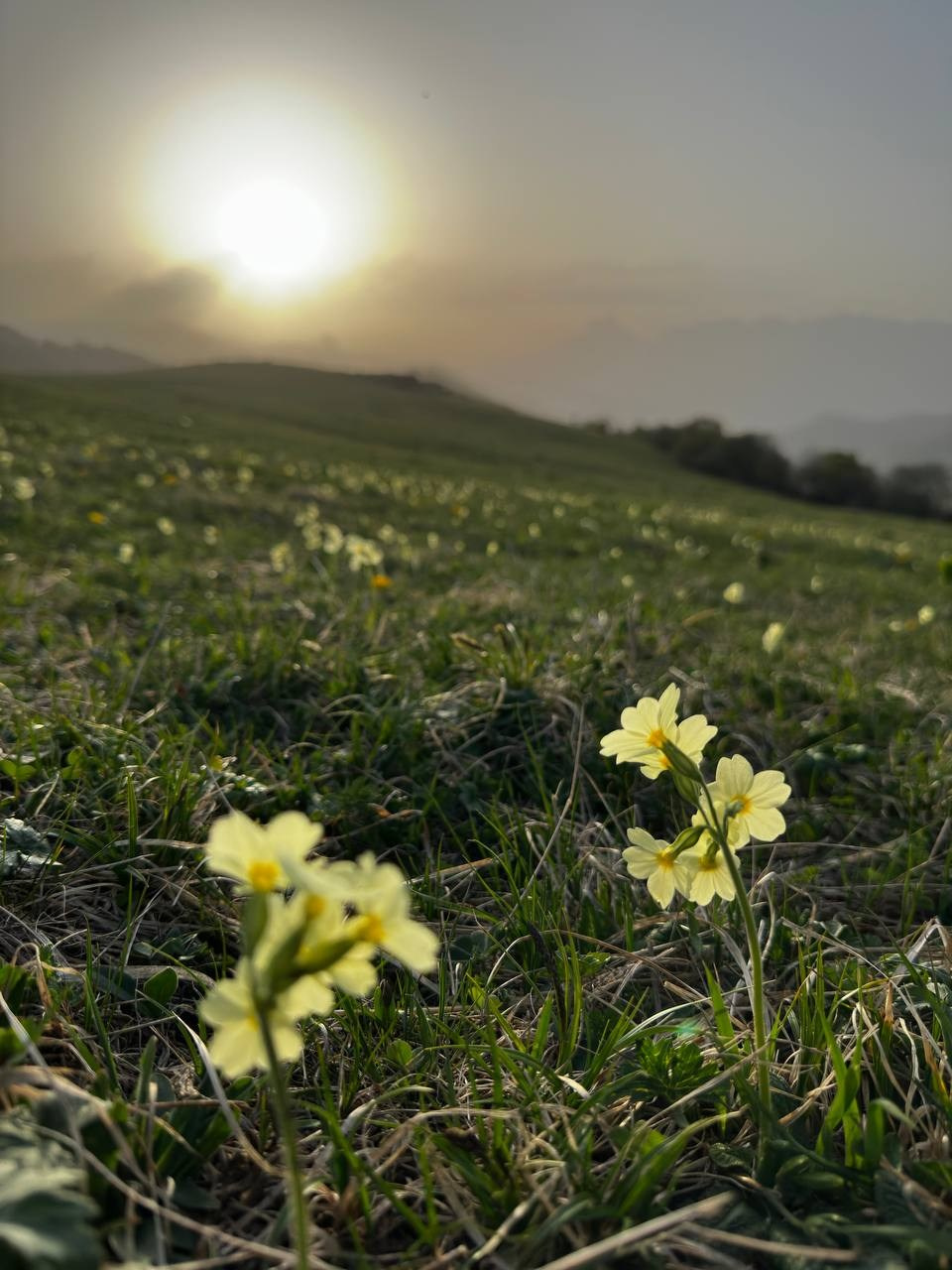 Фототур на Кавказ 18–25 октября 2025