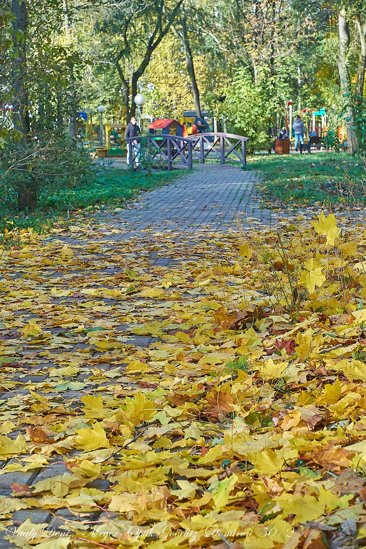 Красота осеннего парка!. Сайт фотографа Виталия Дени