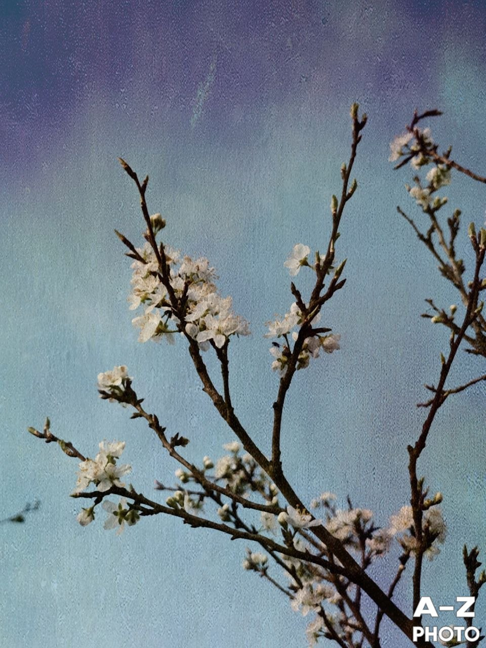 #ФОТОНЕДЕЛИ 23.03.2026. Женский семейный фотограф Тула Москва Захарова Анна