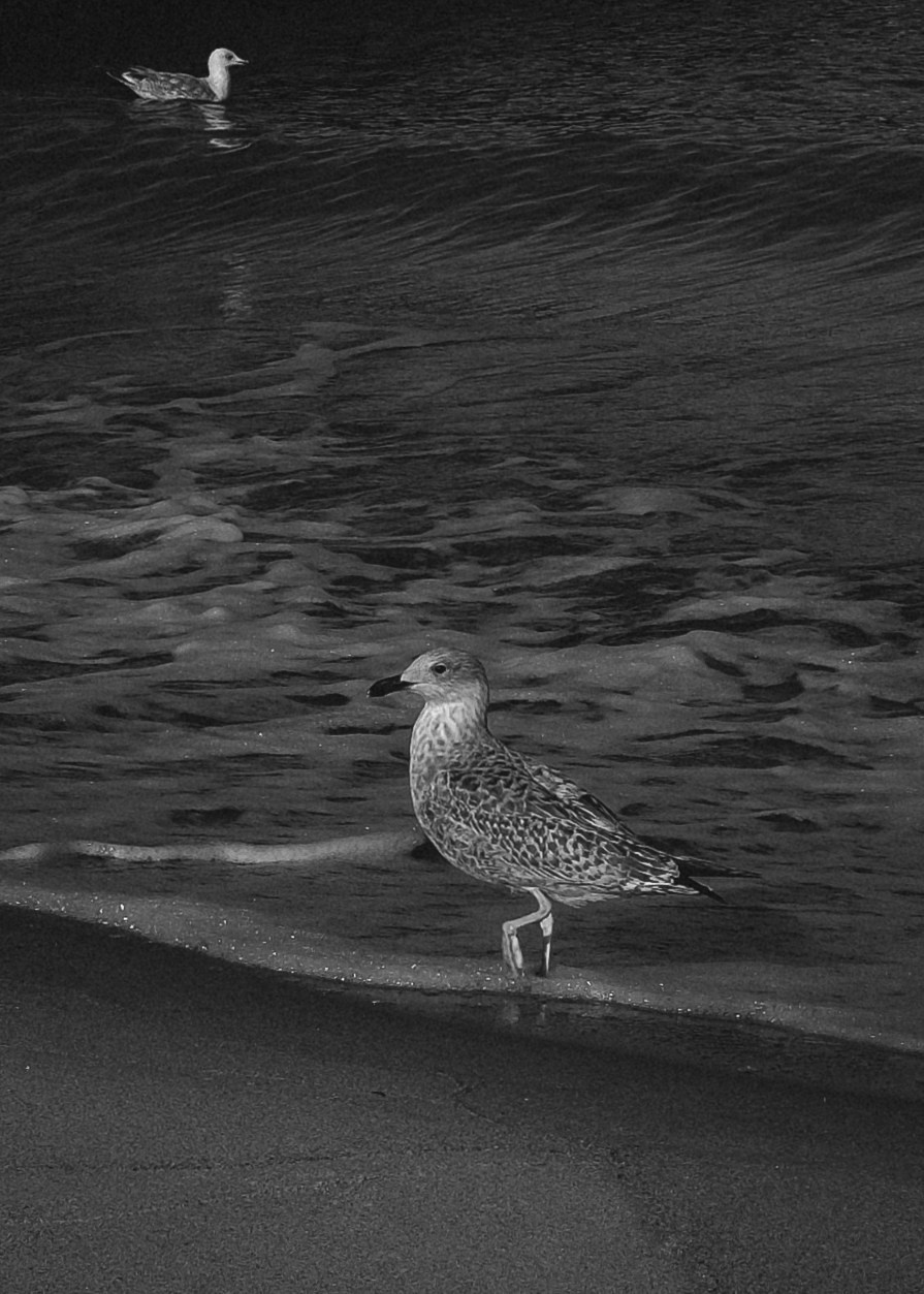 Калининград. Портретный фотограф DanilNabody