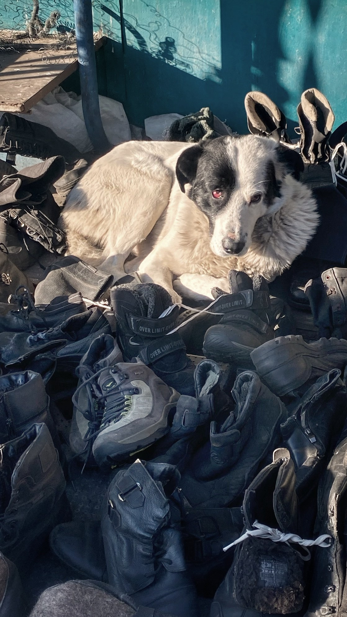 2023. Тащилин Сергей. Фотографии. Жизнь. Хобби