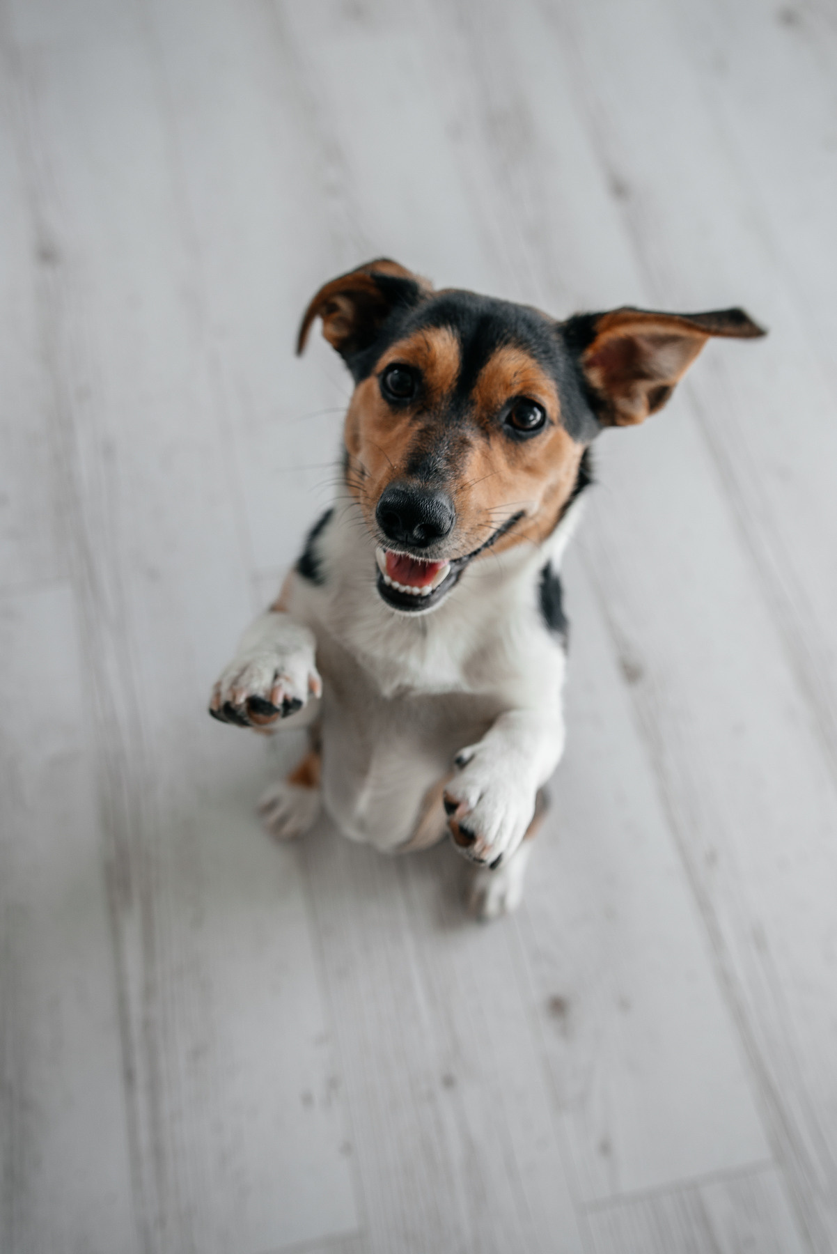 Happy moments_Таня и дети. Свадебный и семейный фотограф в Минске Яна Новак