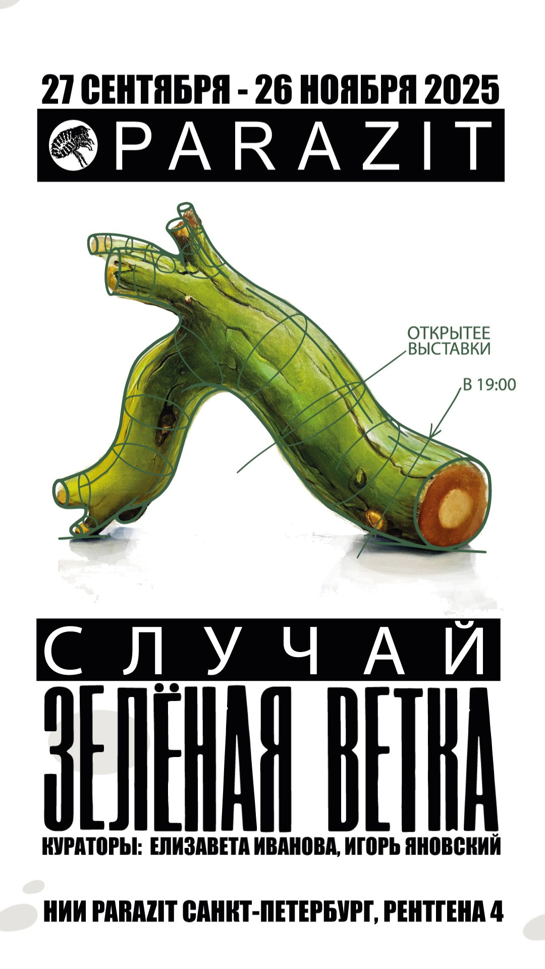 Случай: Зеленая ветка. Елизавета Иванова — независимый куратор, культуролог, исследователь художественных практик, художник