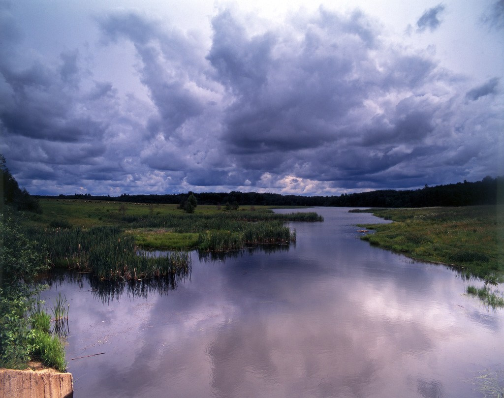 Лето. ВАДИМ ГИППЕНРЕЙТЕР — ВЕЛИКИЙ ФОТОГРАФ ЗЕМЛИ РУССКОЙ