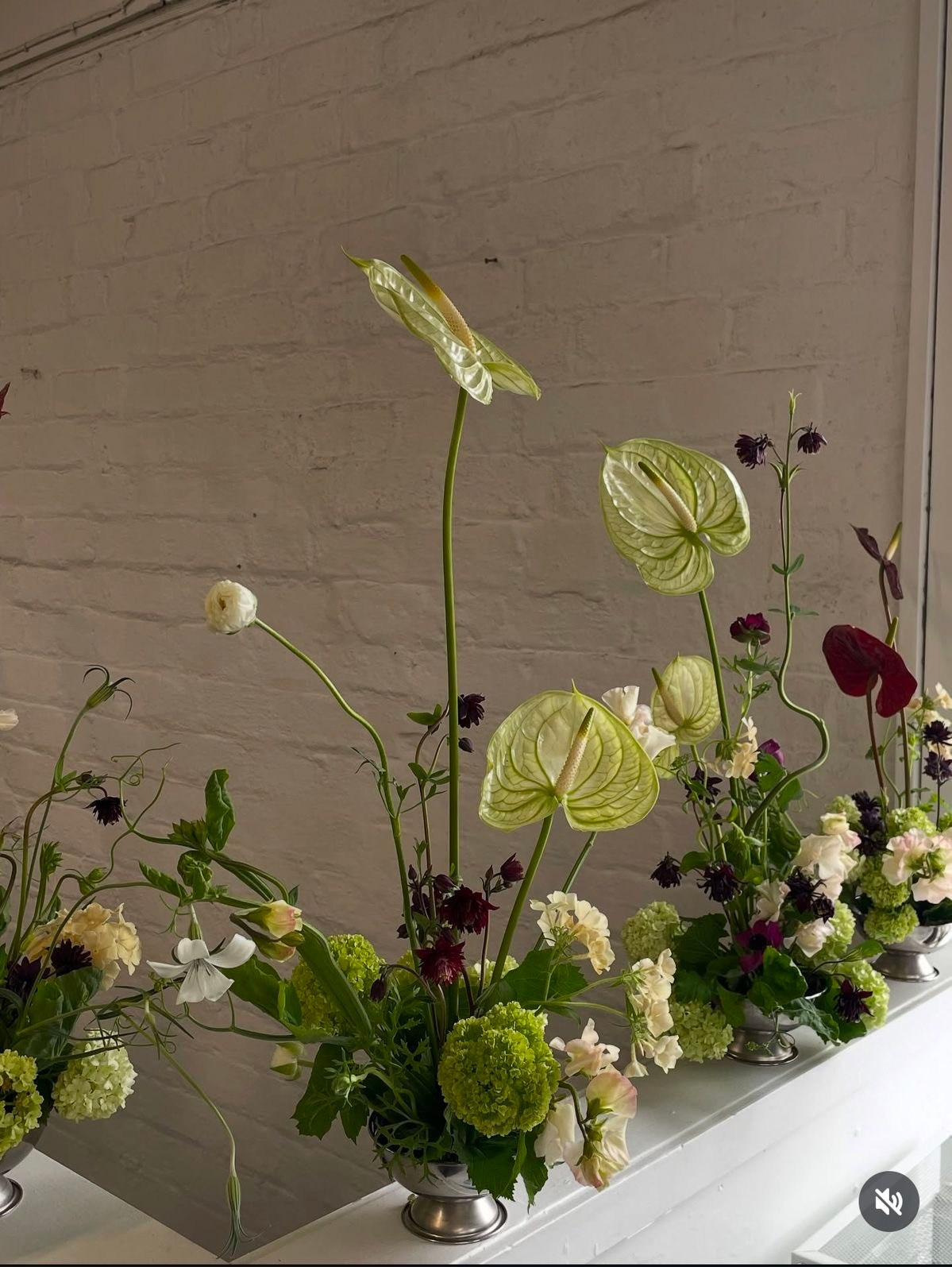 Украшения мероприятий. CKflora