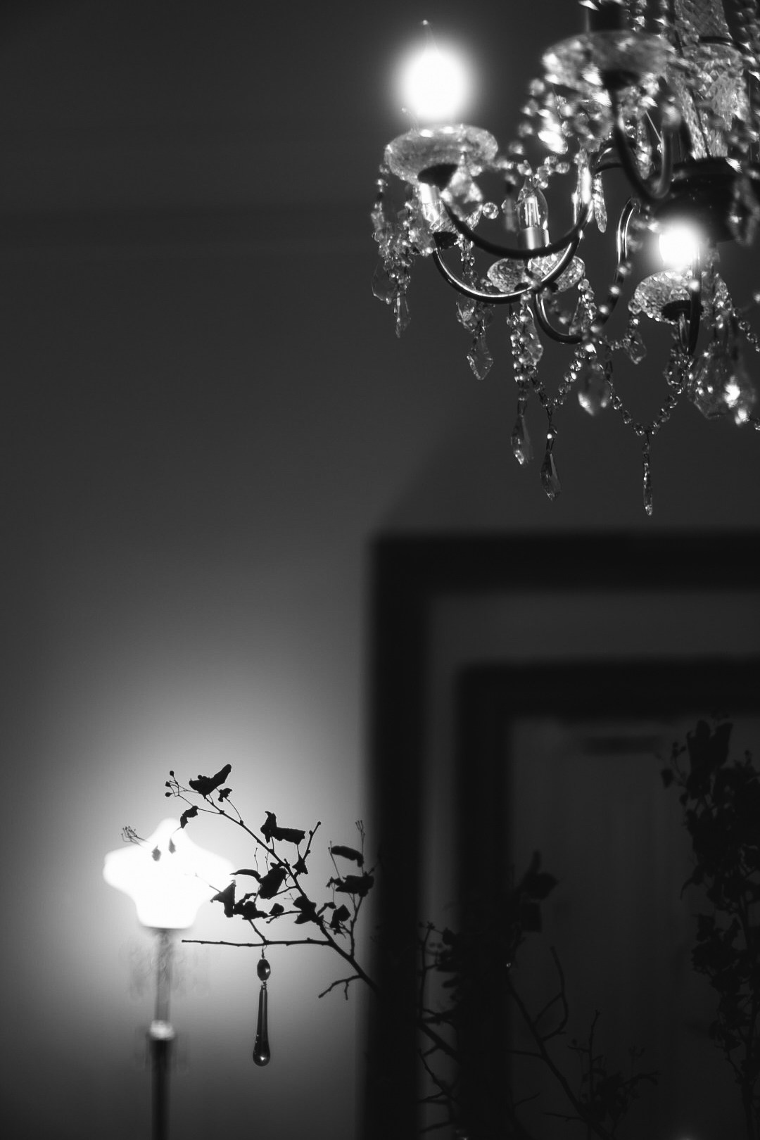 Званный ужин. Фотограф Нижний Новгород