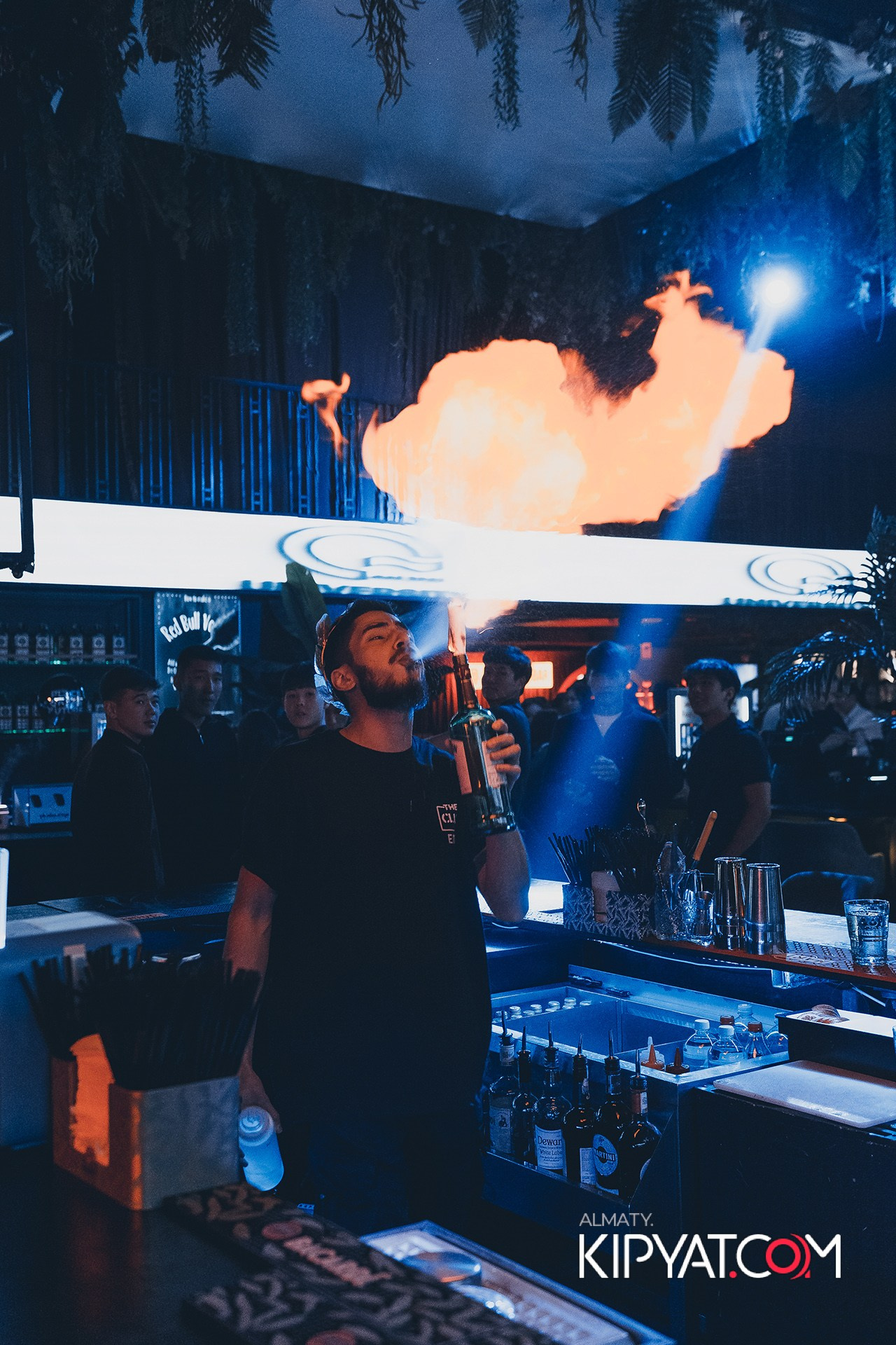 ПОСВЯЩЕНИЕ В СТУДЕНТЫ ''Q'' UNIVERSITY. КИПЯТКОМ АЛМАТЫ!