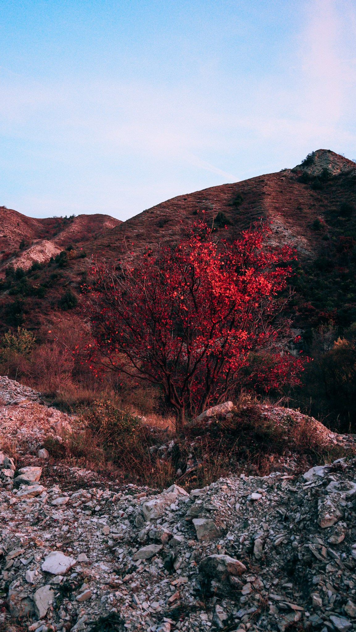 Дагестан 2023. Человек с фотокамерой