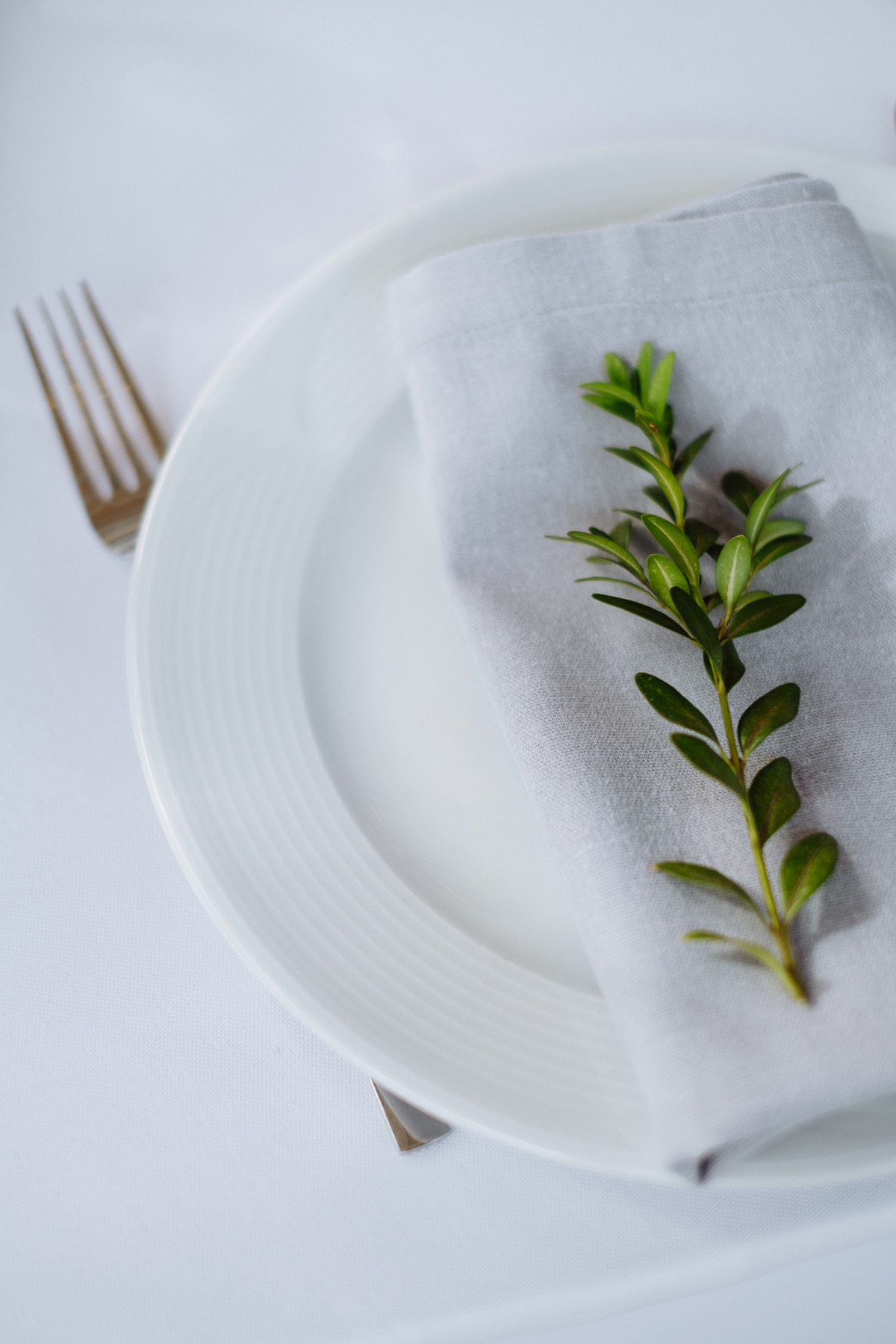 Роман и Анастасия. Организация и координация свадебных и семейных торжеств