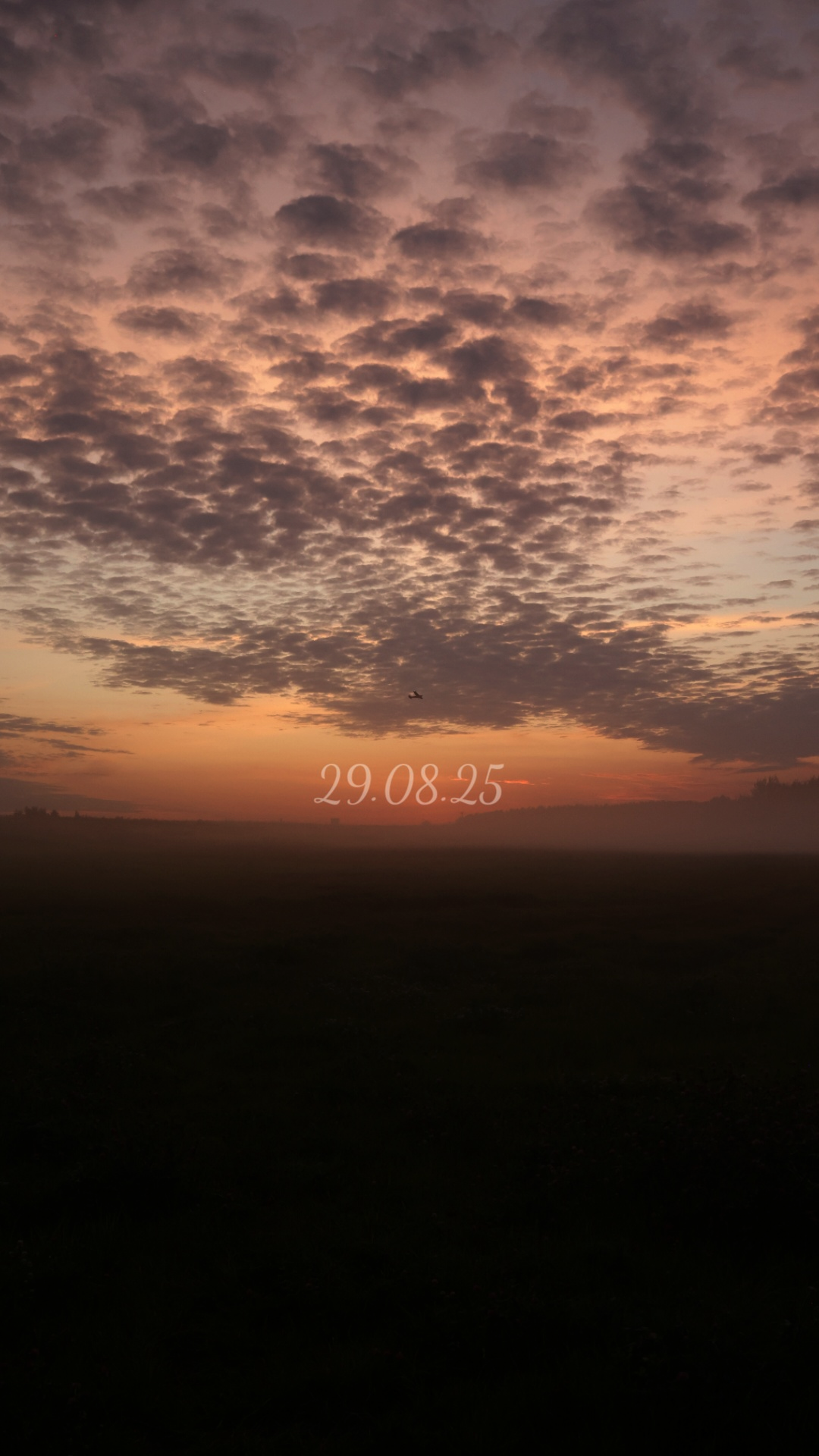 Саша и Полина. Фотограф на Новой риге и в Москве Елена Елис