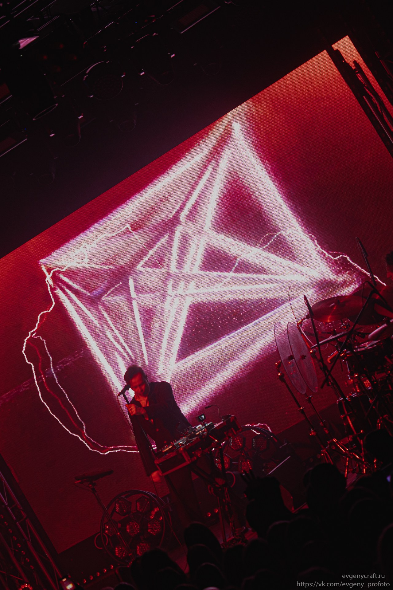 Dolphin 14 feb 2026. EvgenyCraft