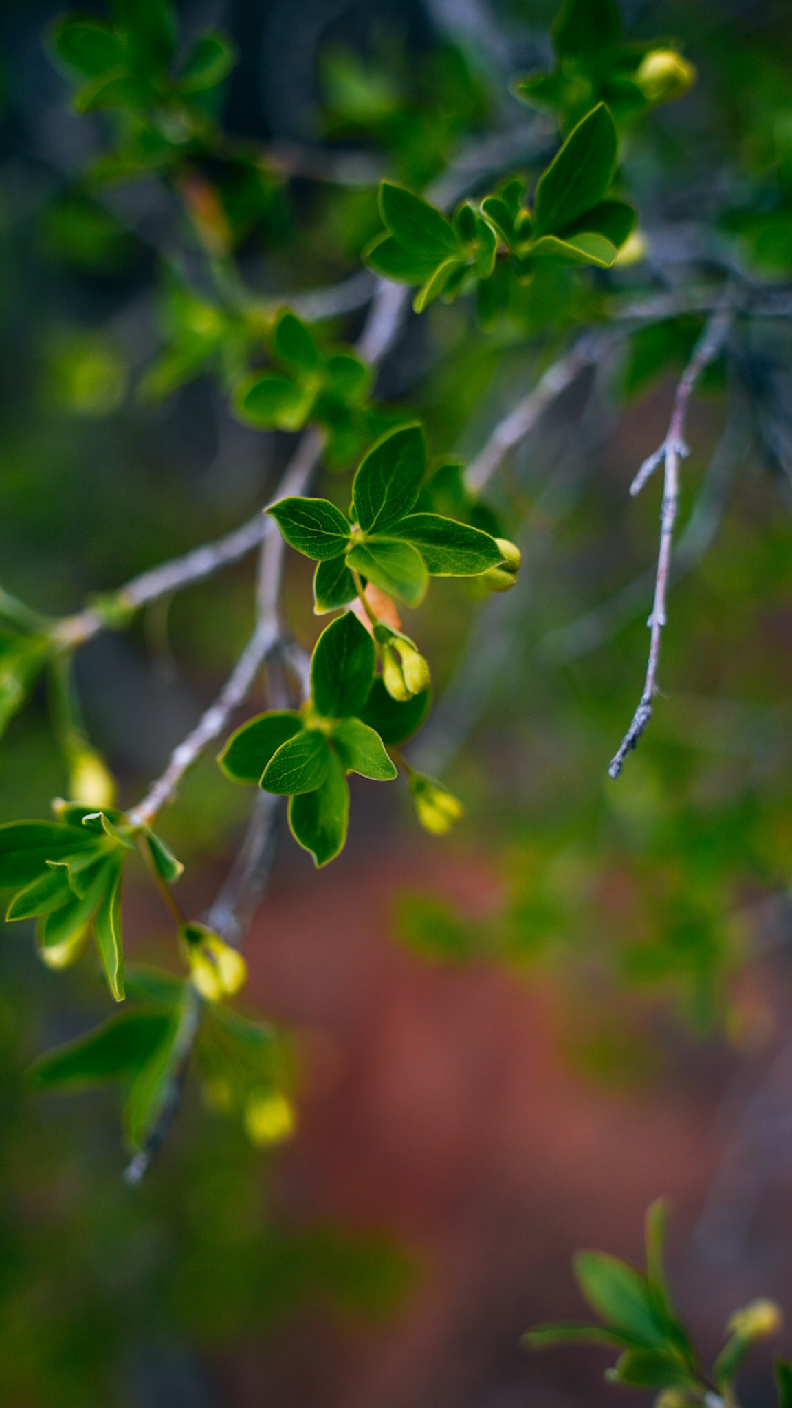 Кыргызстан. Человек с фотокамерой