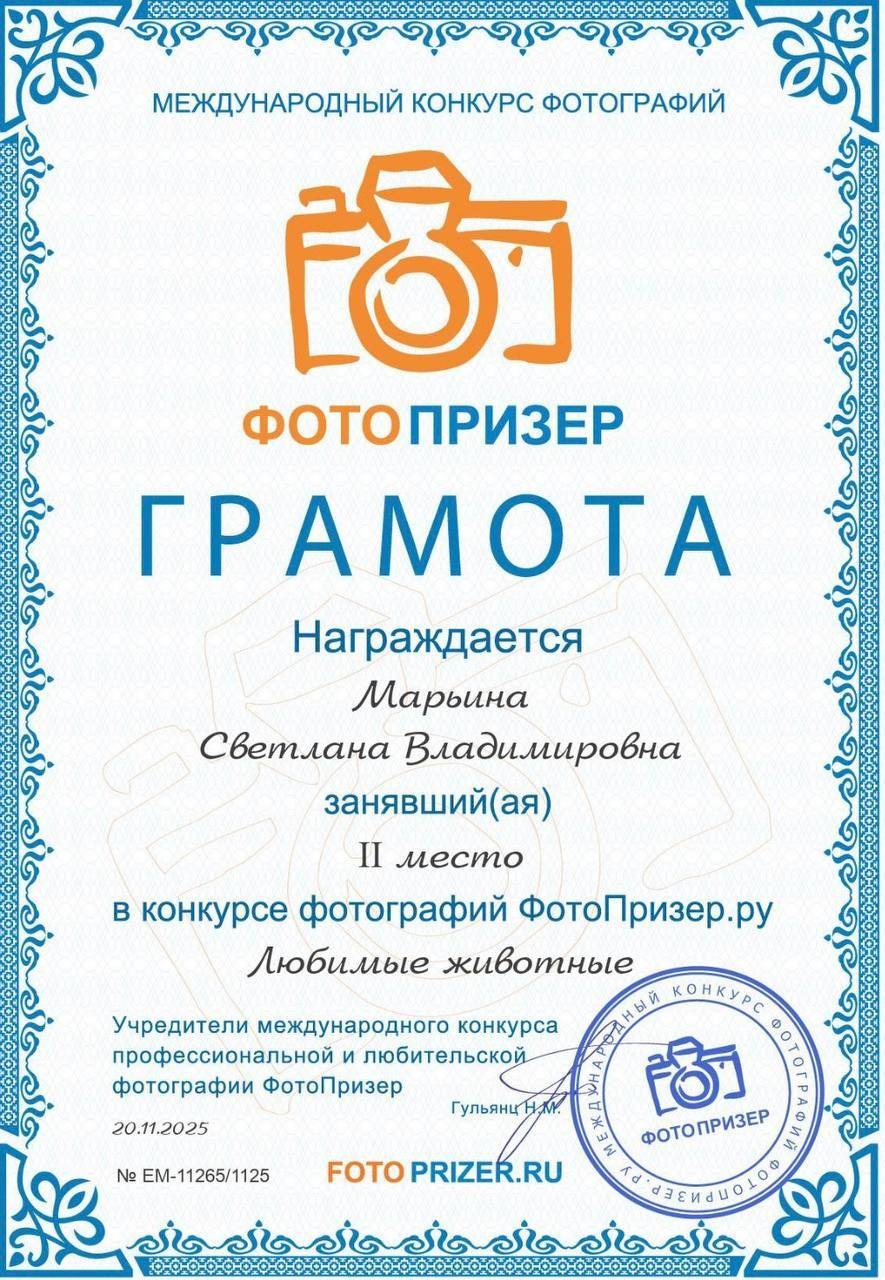Мои дипломы и сертификаты. Семейный фотограф анималист г. Находка