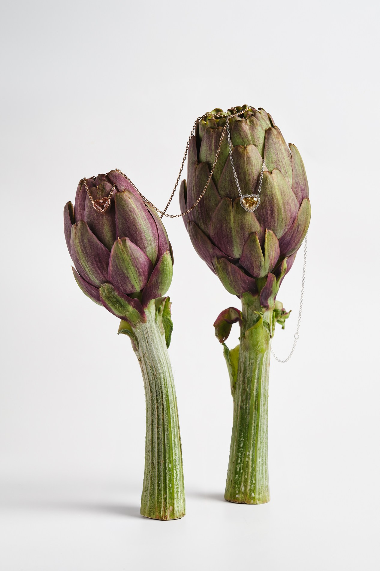 Photographer Monaco, Nice, French Riviera