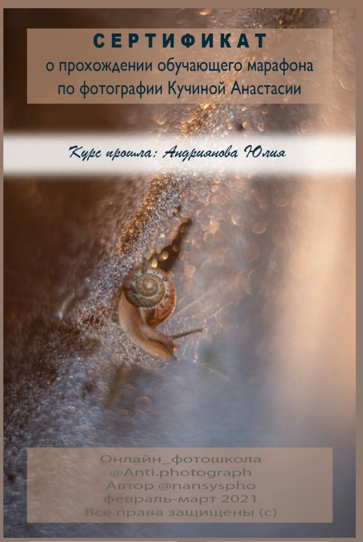 Контакты. Фотограф Юлия Андриянова Саратов