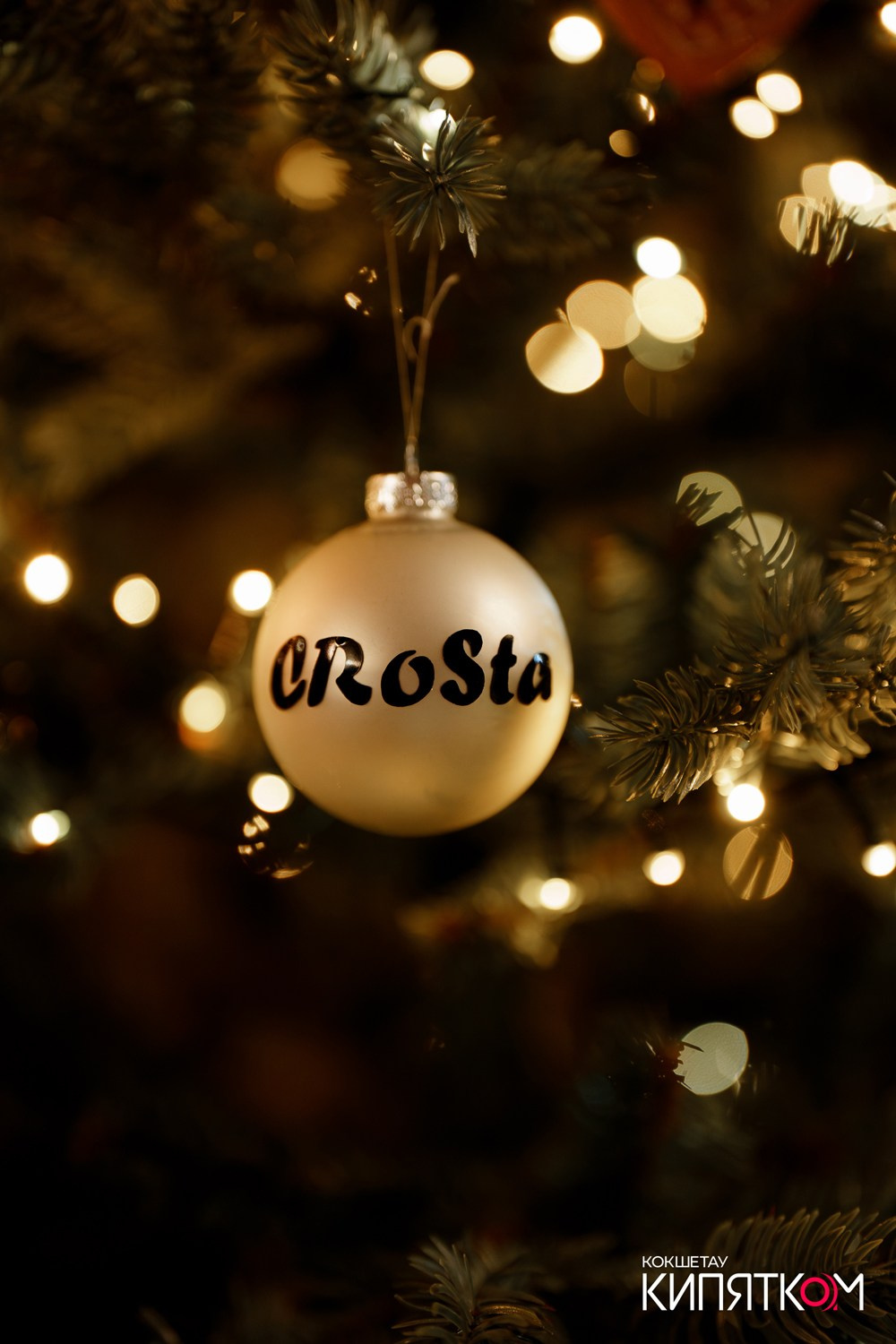 CROSTA. КИПЯТКОМ КОКШЕТАУ