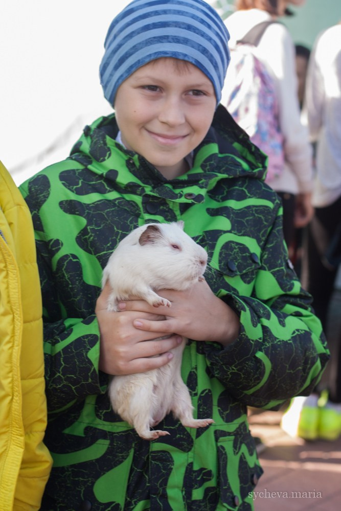 Ярмарка талантов. Детский и семейный фотограф, фотограф мероприятий Нижний Новгород
