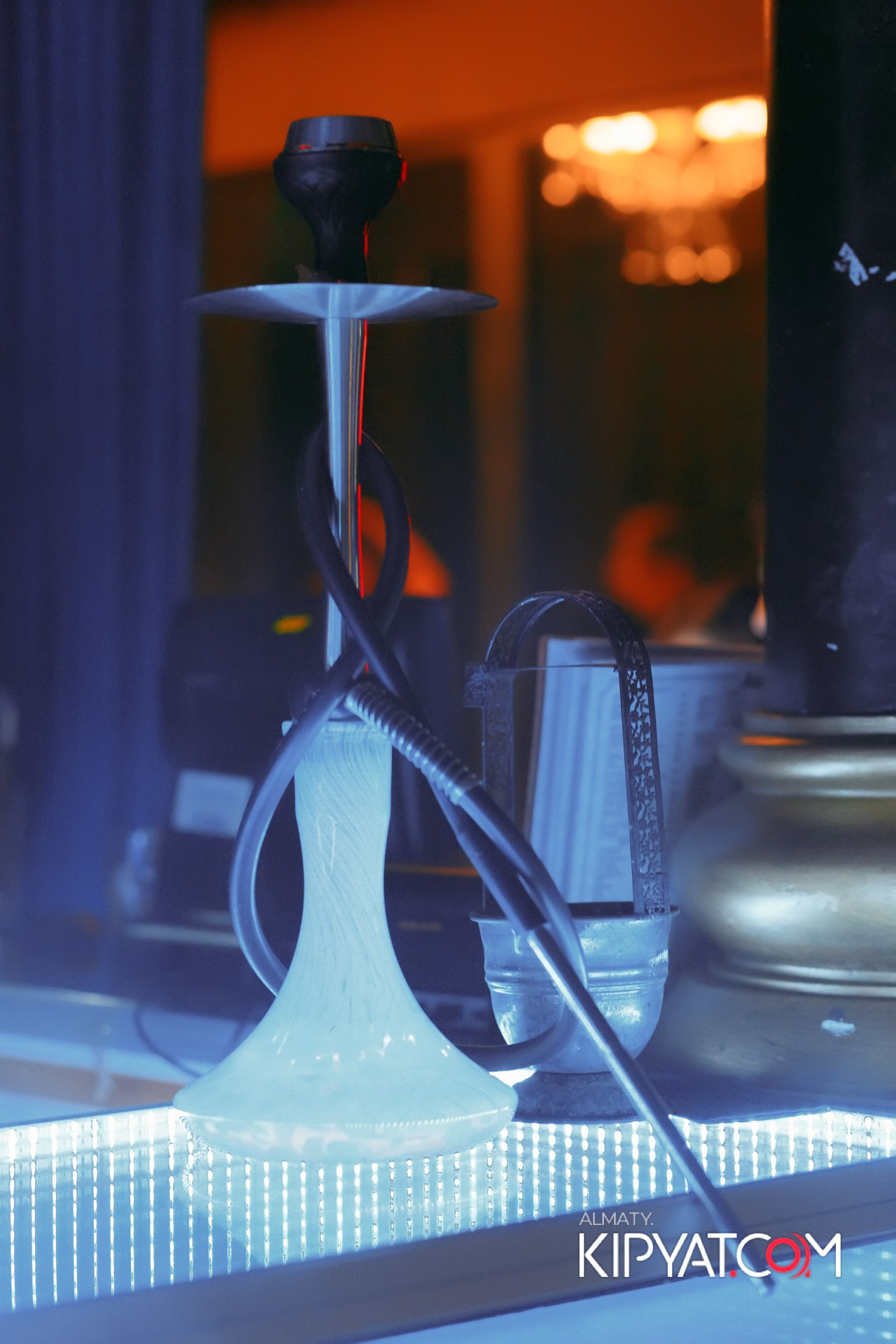 ARAGOSTA. КИПЯТКОМ АЛМАТЫ!