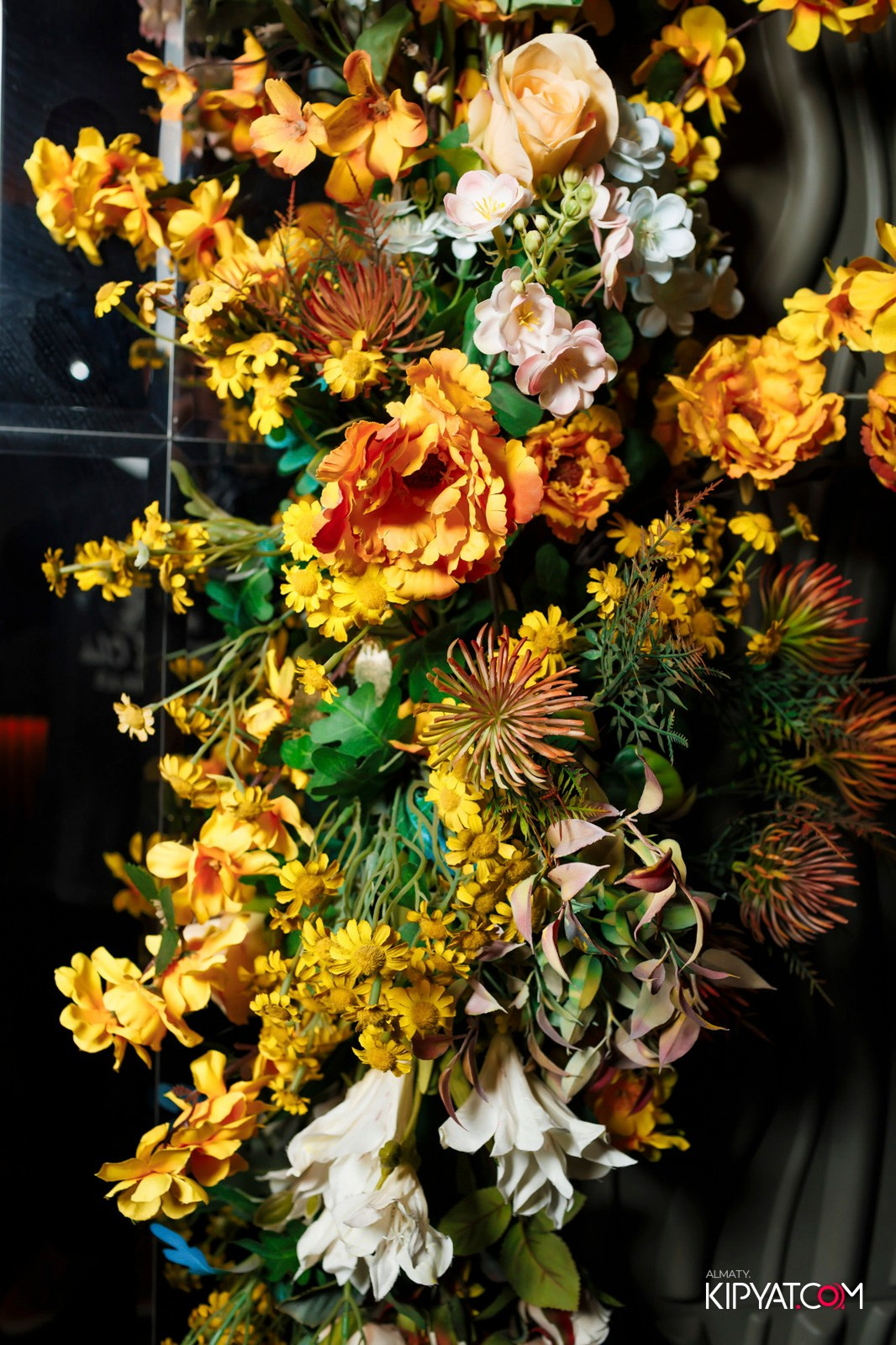 БАР ПАНАЕХАЛИ НА ТОЛЕ БИ. КИПЯТКОМ АЛМАТЫ!