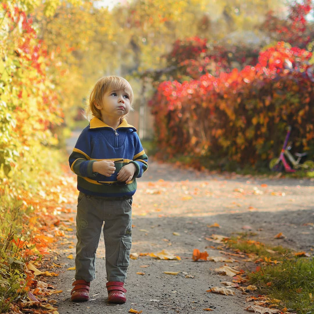 Осенняя фотосессия. Семейный фотограф
