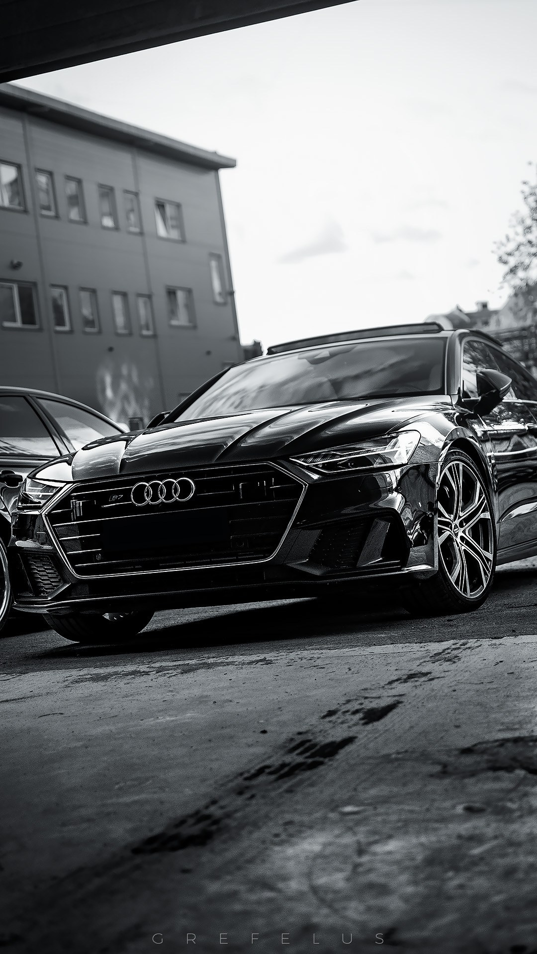 Random Frames — 2021. Grefelus