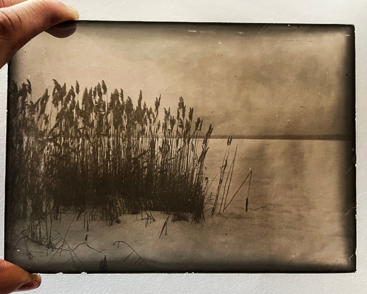 Lith prints. Darkroom aesthetics