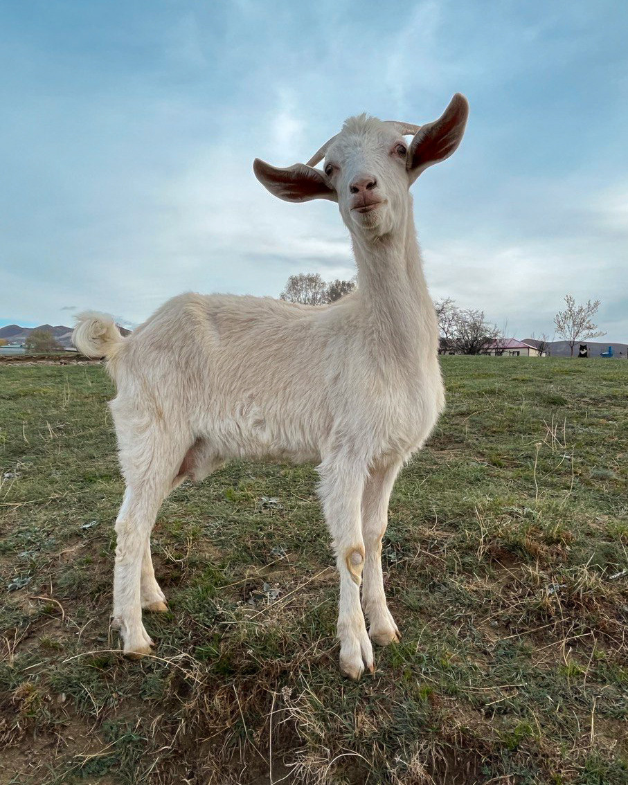 Дагестан. Портретный фотограф в Челябинске Катерина Руди