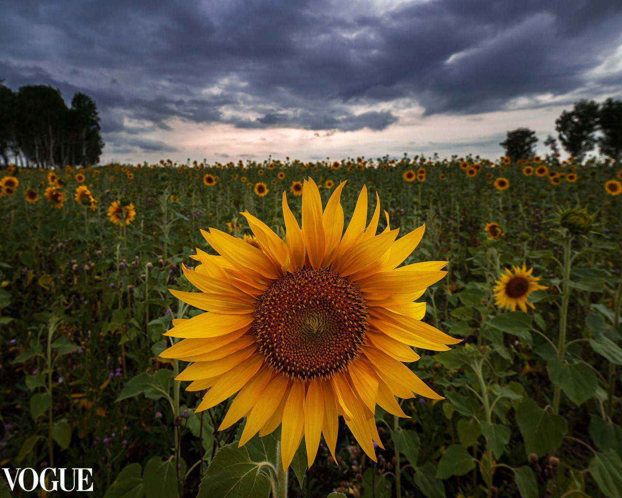 Портреты, творческие съемки. Портретный фотограф в Челябинске Катерина Руди