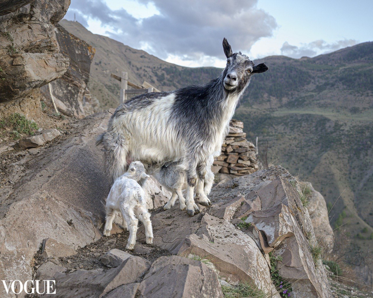 Пейзаж. Портретный фотограф в Челябинске Катерина Руди