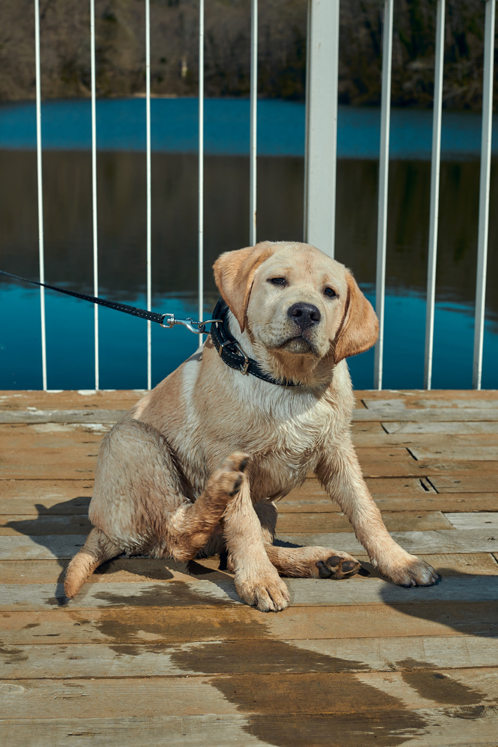 Фотосессия Антона с его детьми. Фотограф в Сочи Дмитрий Полянский