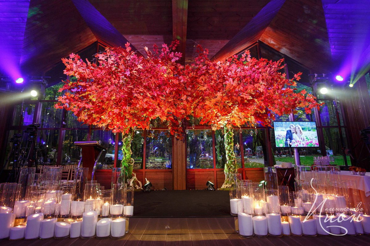 Организация свадьбы в Москве. Свадебное агентство ПИОН. Подобрать ресторан на свадьбу, ведущий на свадьбу, свадебный декор, свадебные фото. Роскошная свадьба, свадьба Волынское