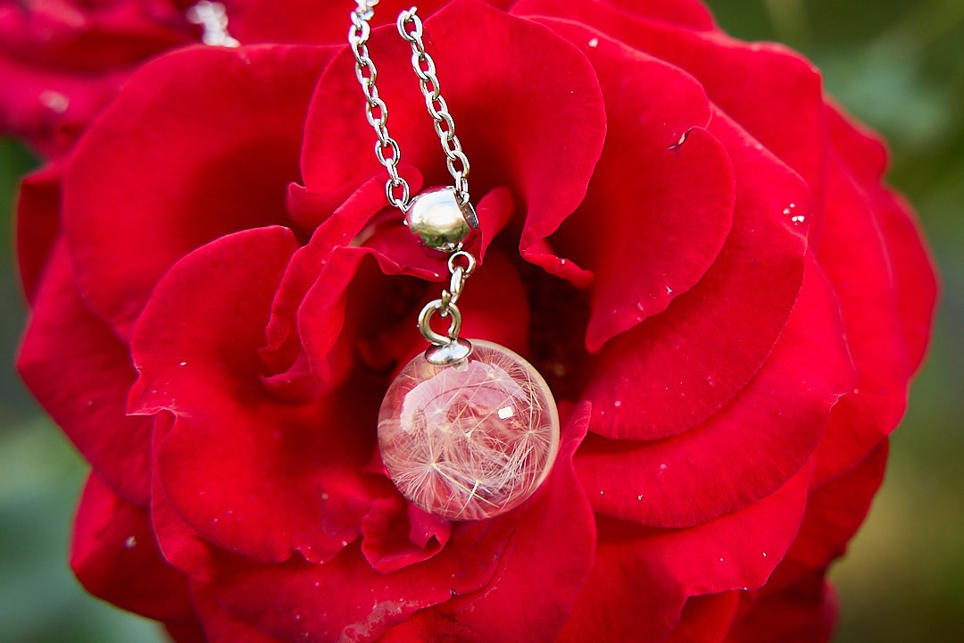 Пердметная фотография. Контент фотография. Краснодар