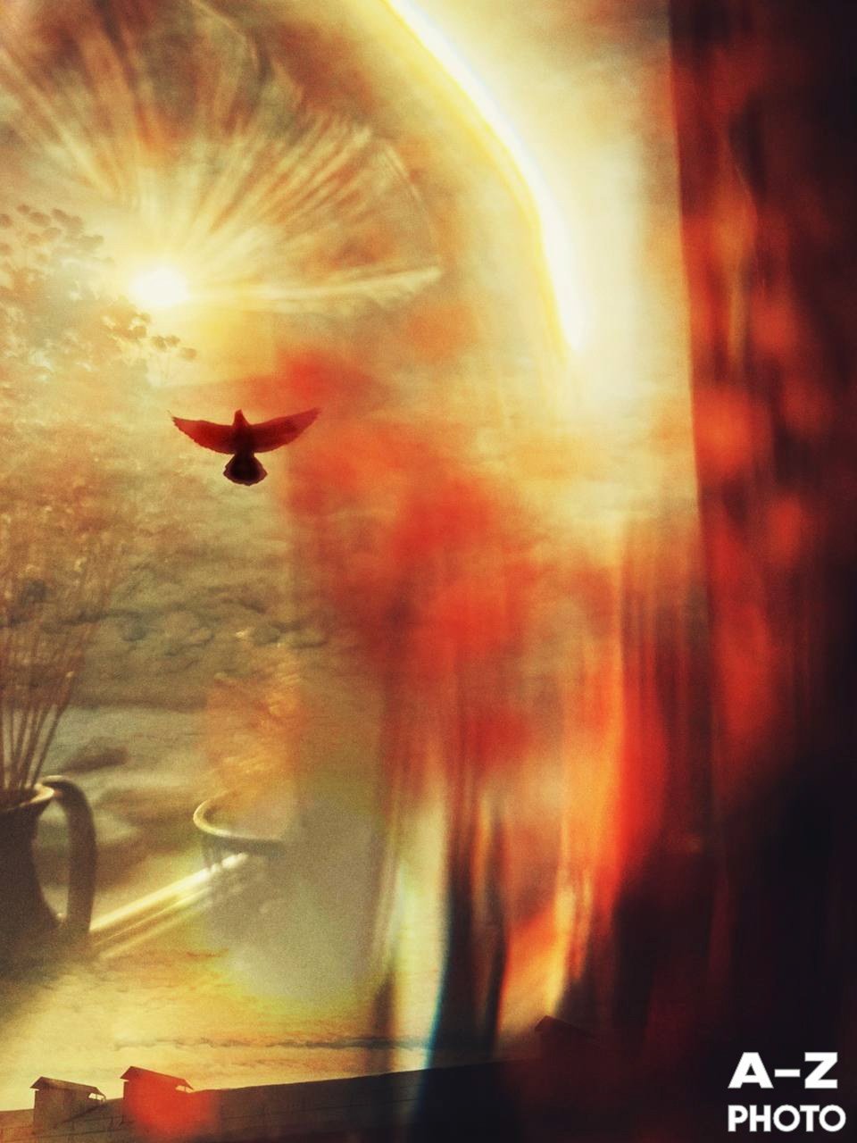 #ФОТОНЕДЕЛИ 26.01.2026. Женский семейный фотограф Тула Москва Захарова Анна