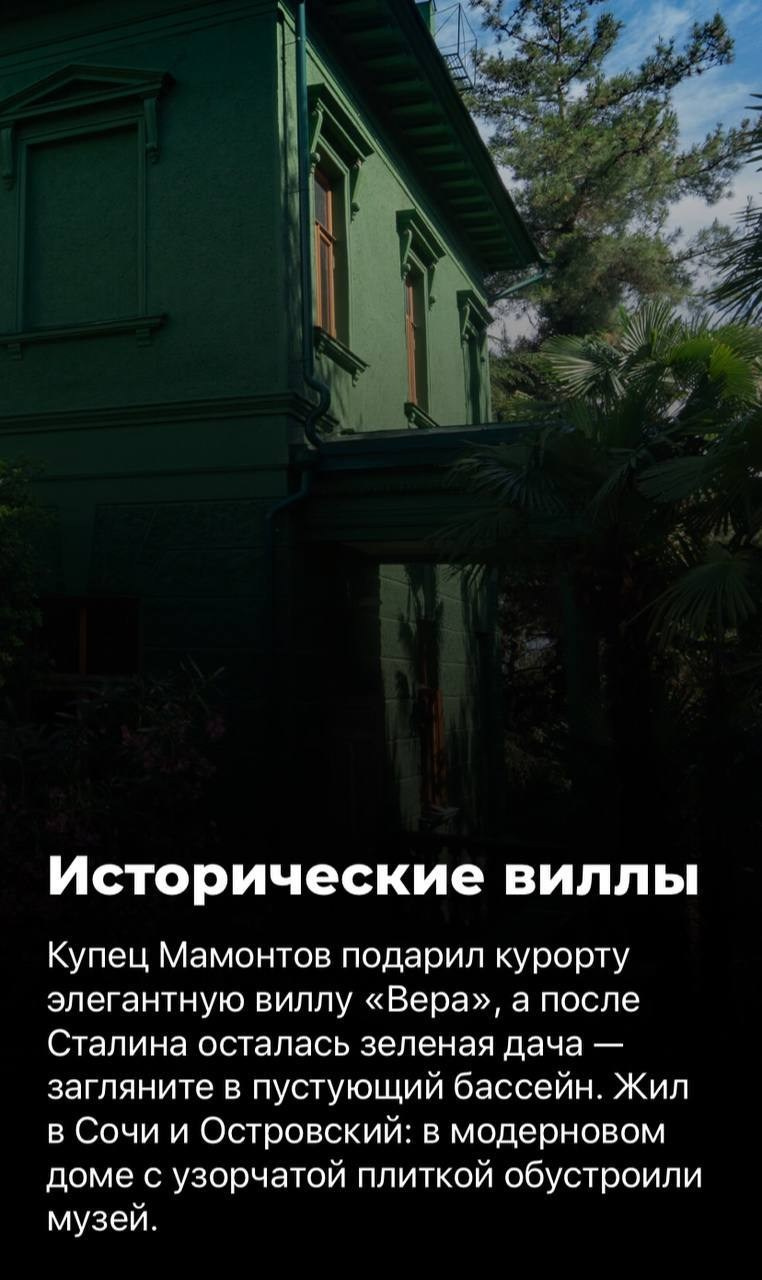 Чем заняться в Сочи весной. Милана Довгаль - семейный фотограф и видеограф  в Адлере и Сочи