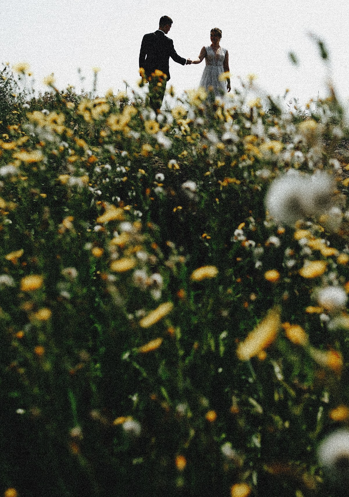 Свадебный и семейный фотограф Барнаул Рубцовск Бийск Алтайский край