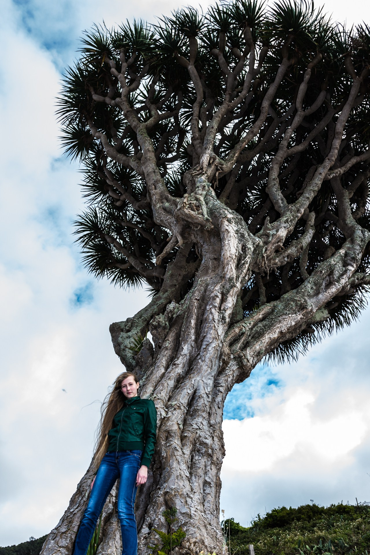 201603 Тенерифе. Фотографии