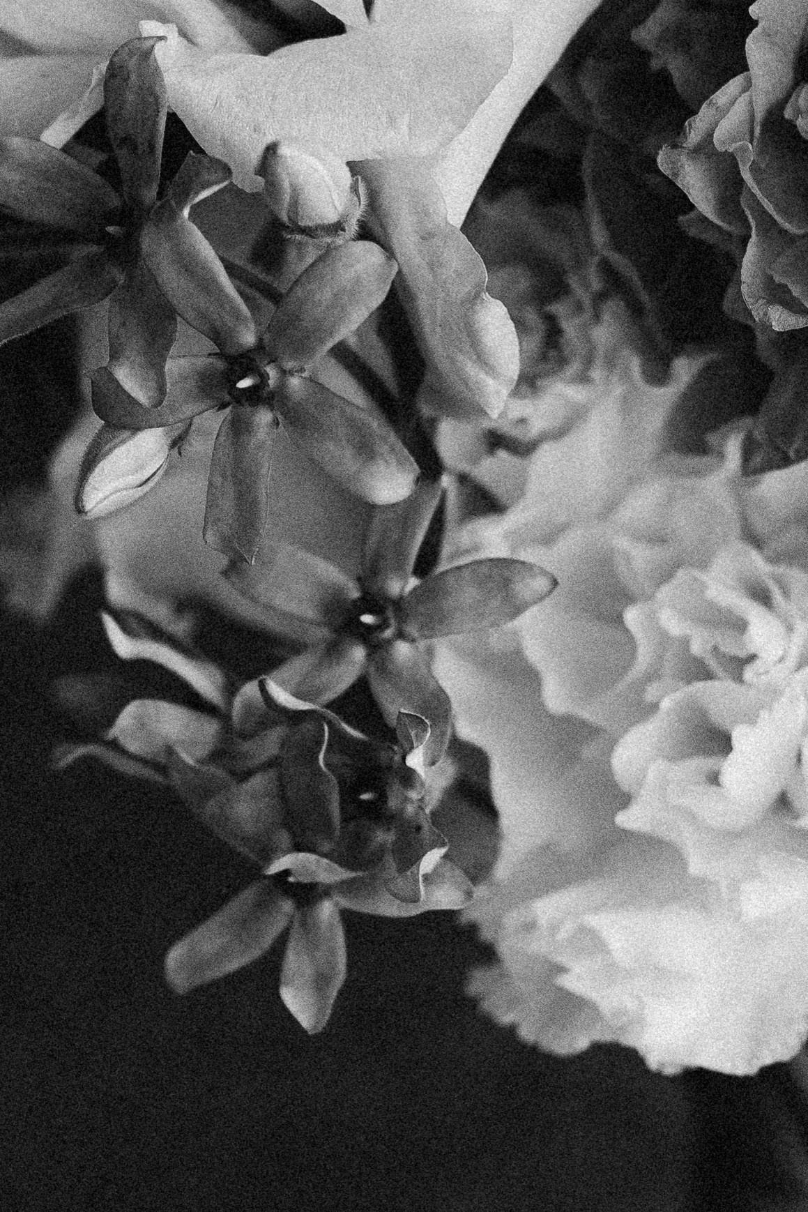 Владимир и Ляйсан. Фотограф Челябинск Юлия Ермакова