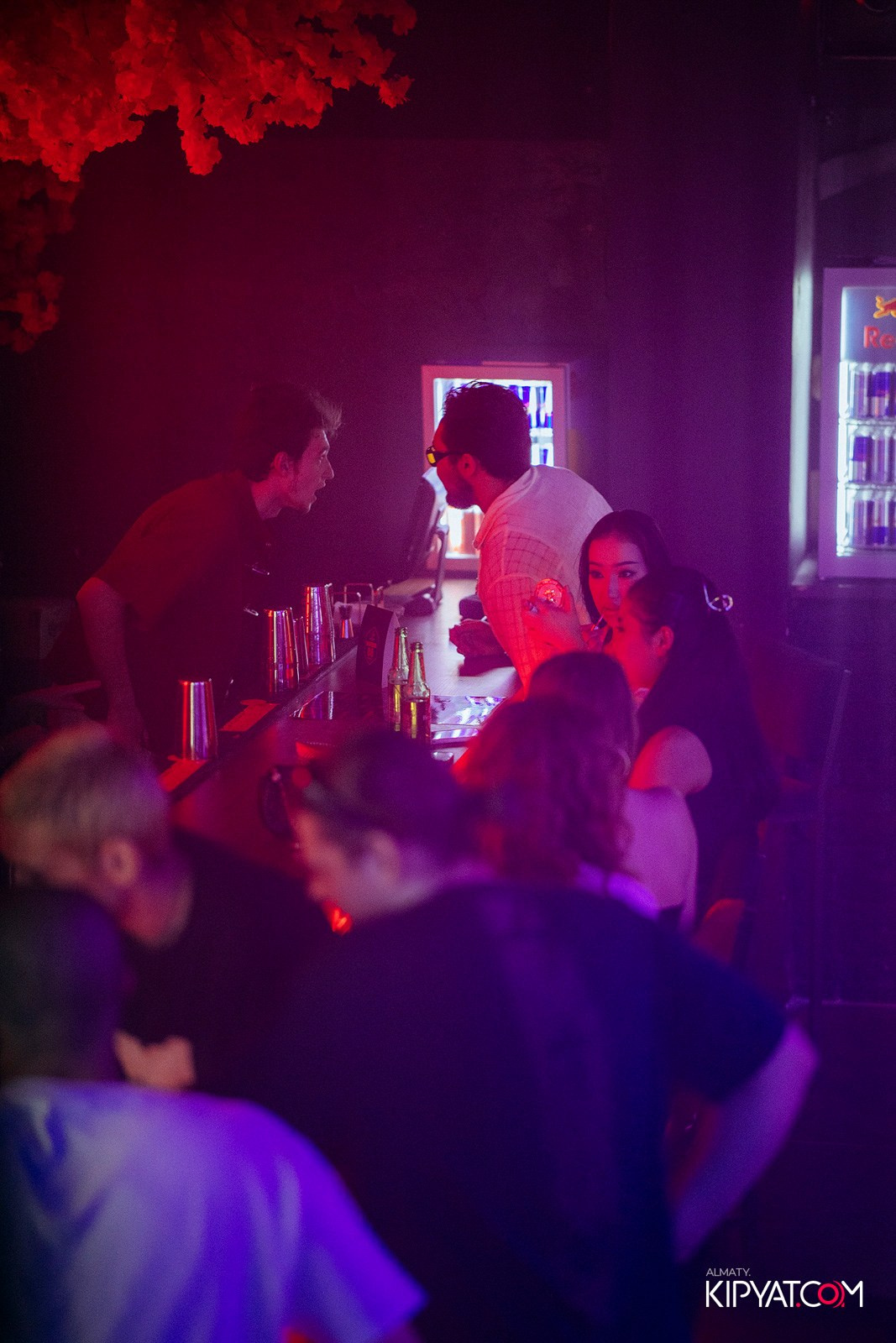SHANGHAI 88 BAR. КИПЯТКОМ АЛМАТЫ! Фотосъемка мероприятий в Алматы