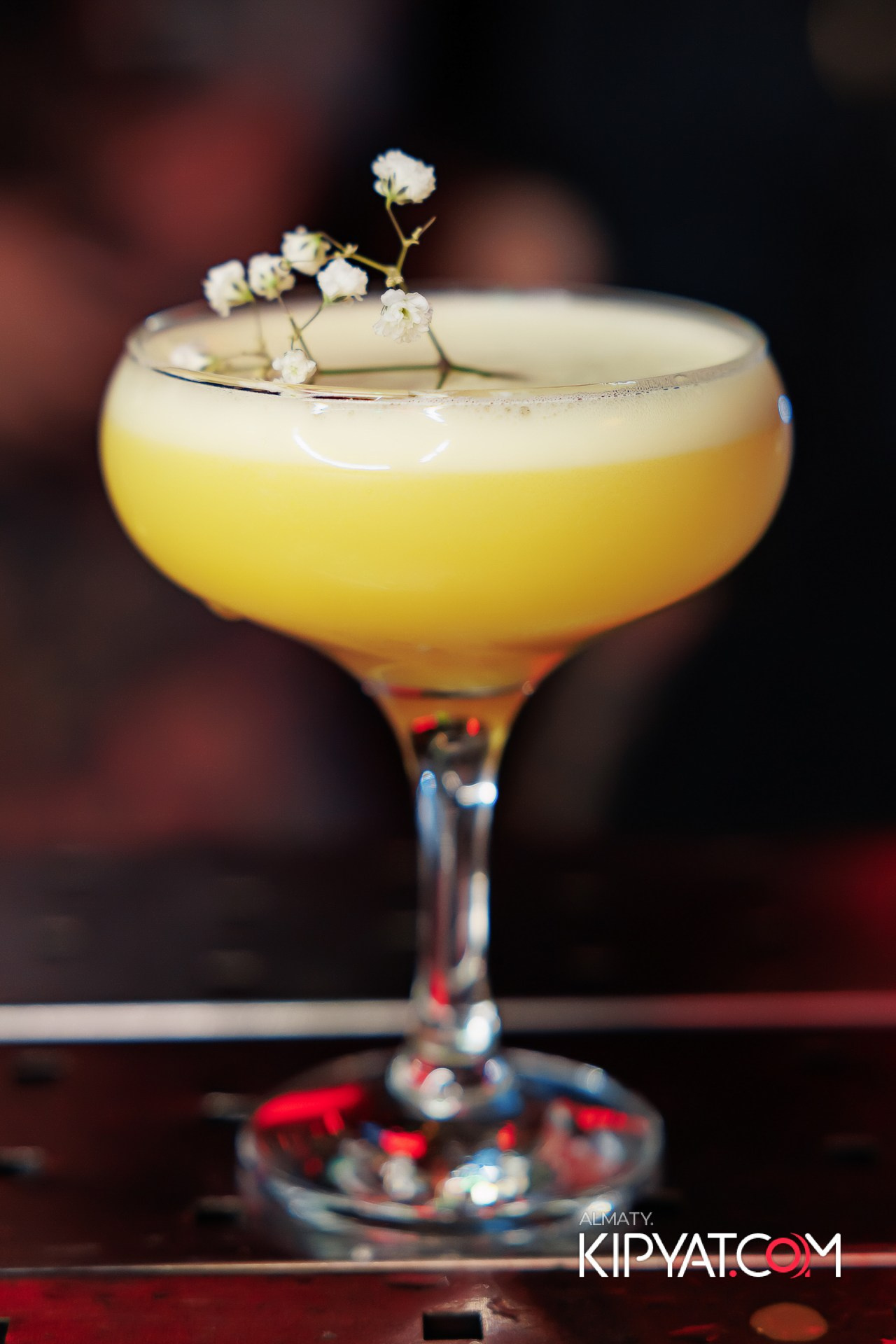 VICTORY MEXICAN AND WILD. КИПЯТКОМ АЛМАТЫ!