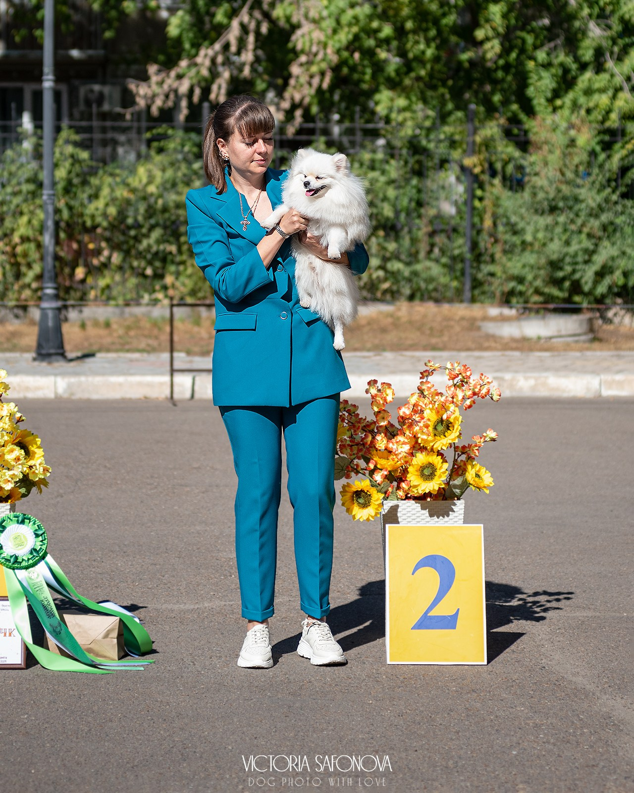 15 сентября 2024. Благовещенск. Монопородная выставка шпицев. Фотограф анималист Благовещенск. Сафонова Виктория