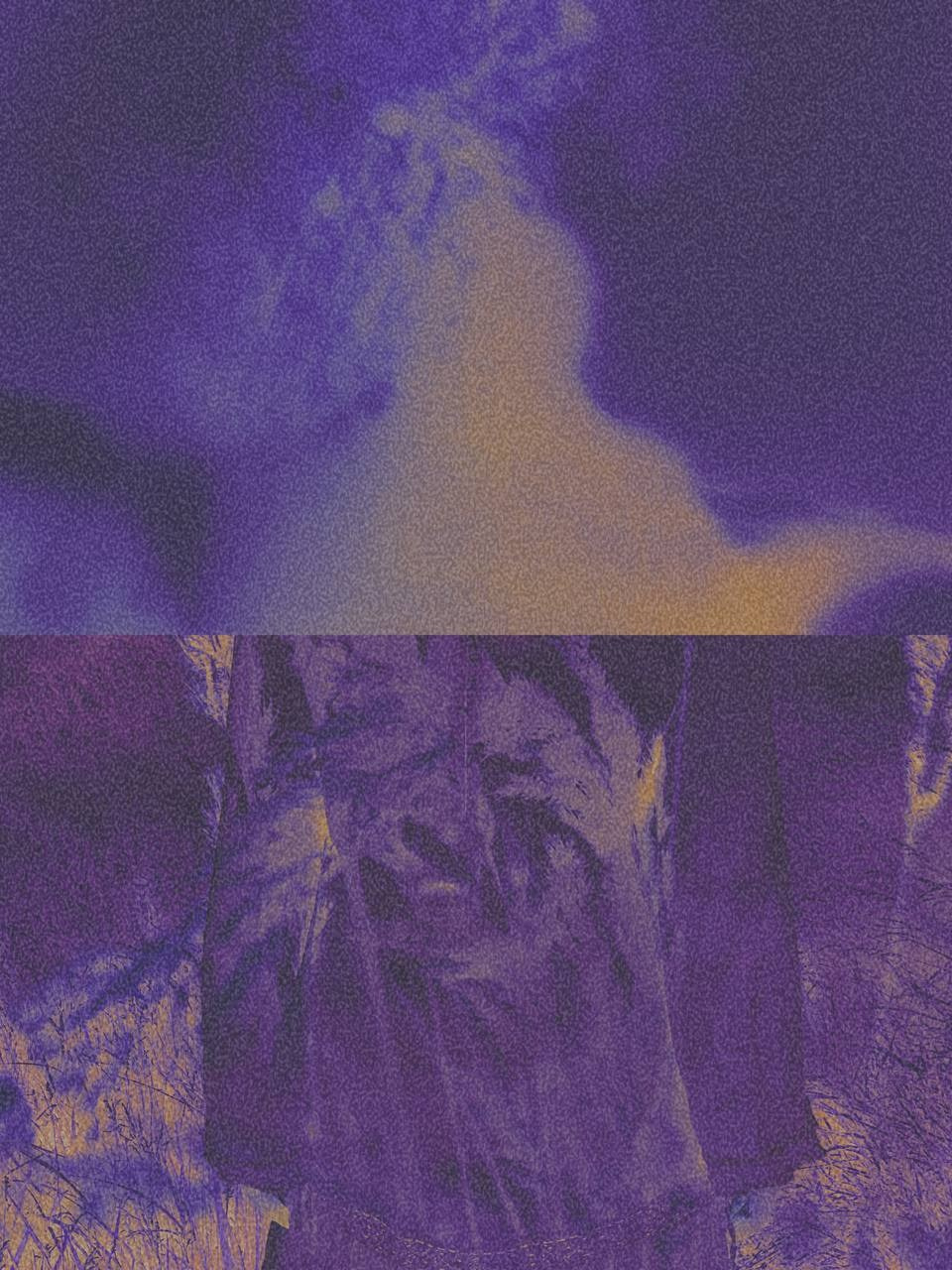 фиолетовый диптих негатив фотоарт поталь русский фотохудожник
