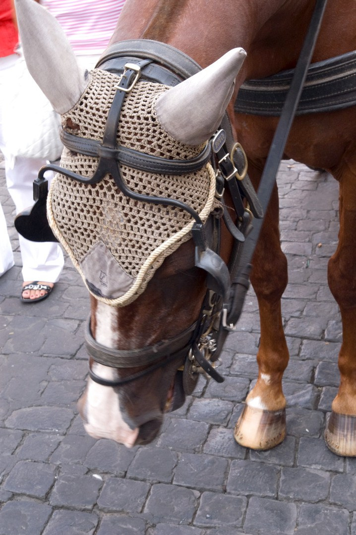 Круиз 2007 г. Улица, люди, жизнь…