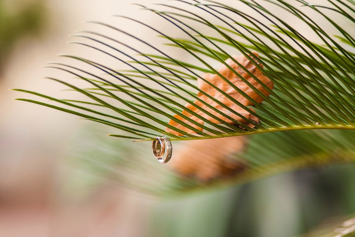 Свадьба в Новом Петергофе. Свадебный фотограф в Санкт-Петербурге и Петергофе Андрей Заяц
