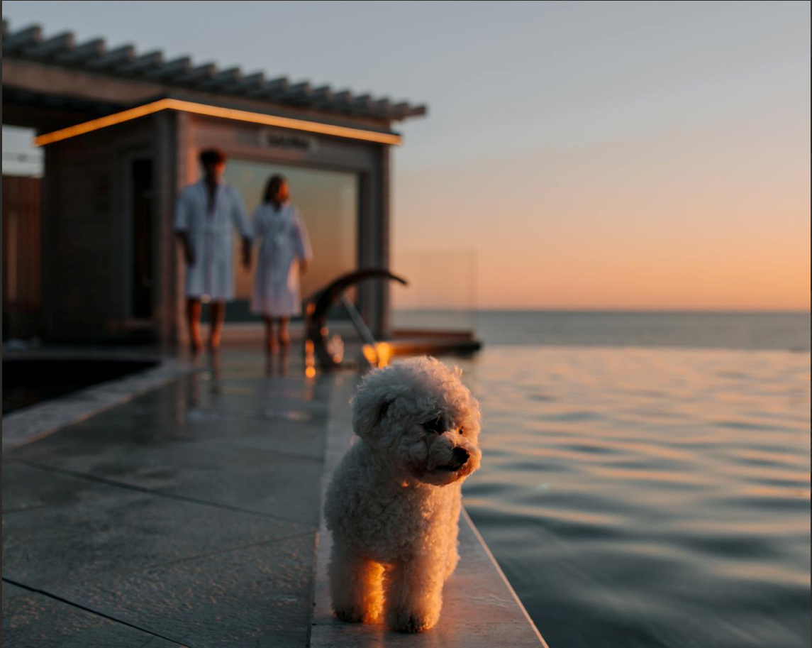 Лучезарный. Создаю контент для бизнеса- Андрей Корниенко и упаковываю компании и экспертов в Краснодаре